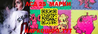 PSILOCYBIN Донской