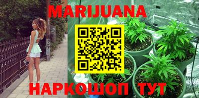 PSILOCYBIN Донской