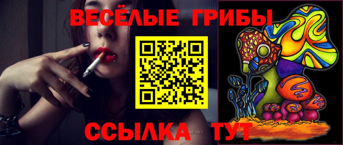 Галлюциногенные грибы мухоморы Дальнегорск